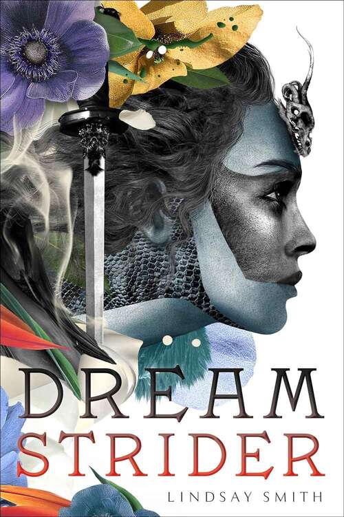 Book cover of Dreamstrider