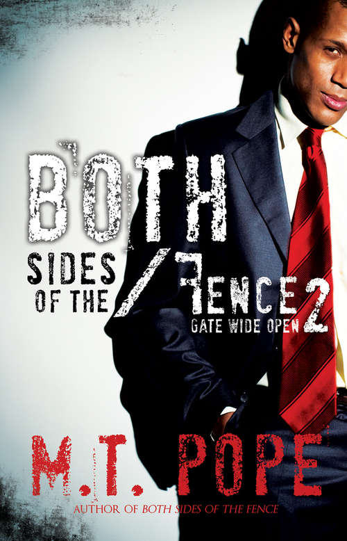 Book cover of Both Sides of the Fence 2: Gate Wide Open