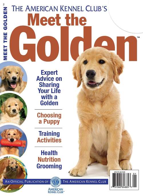 Book cover of Meet the Golden