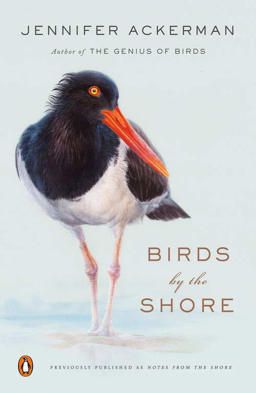Book cover of Birds by the Shore: Observing the Natural Life of the Atlantic Coast