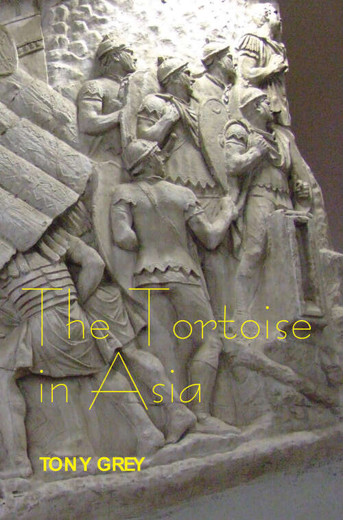 Book cover of The Tortoise in Asia