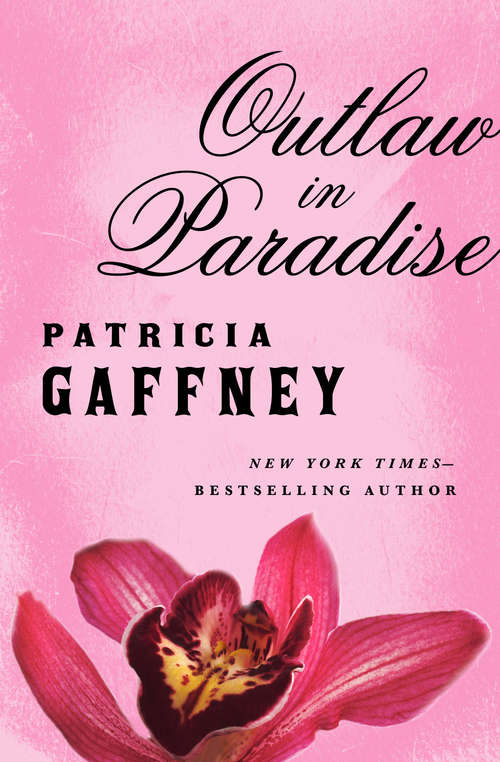 Book cover of Outlaw in Paradise (Digital Original)