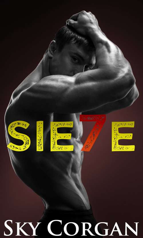 Book cover of Sie7e