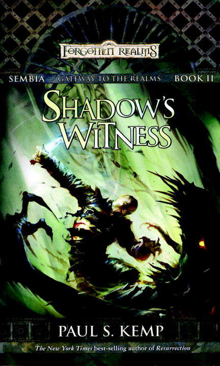 Shadow's Witness (Forgotten Realms: Sembia #2)