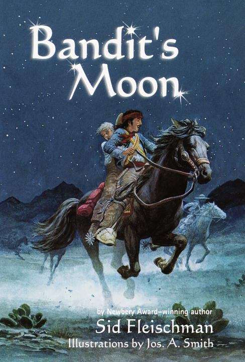 Book cover of Bandit's Moon