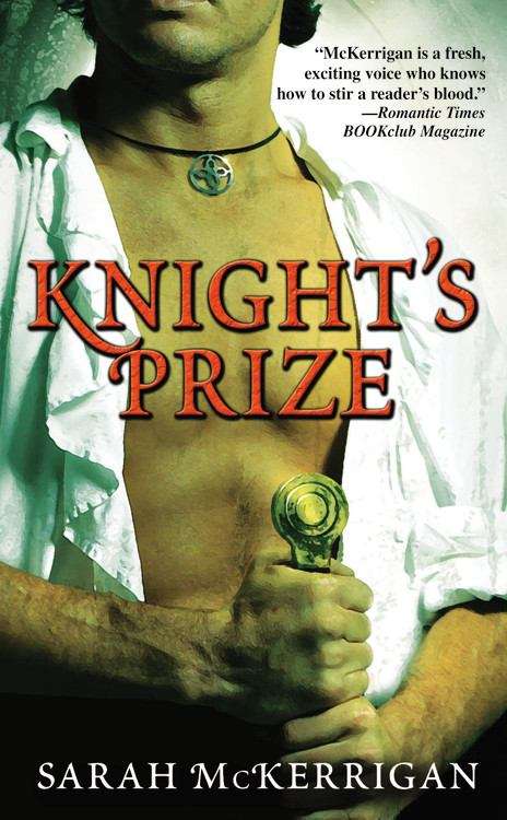 Book cover of Knights Prize