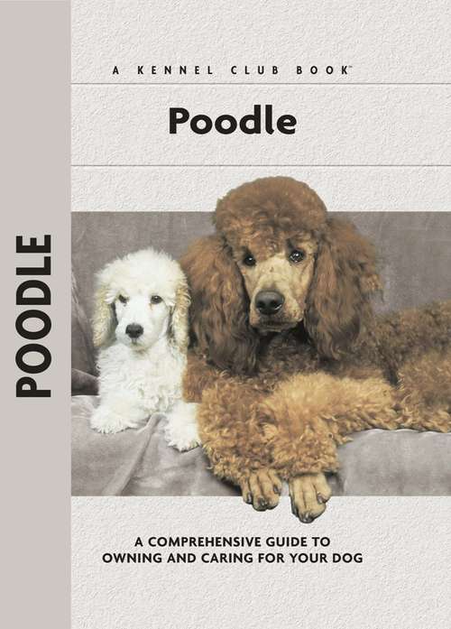 Book cover of Poodle
