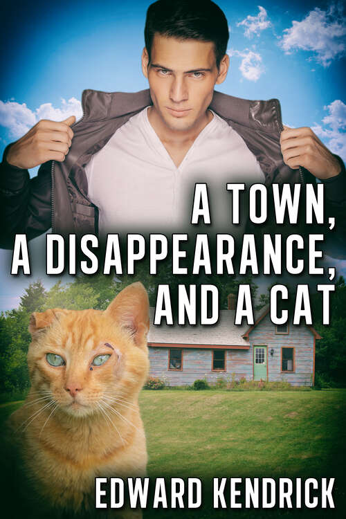 Book cover of A Town, a Disappearance, and a Cat