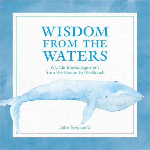 Book cover of Wisdom from the Waters: A Little Encouragement from the Ocean to the Beach