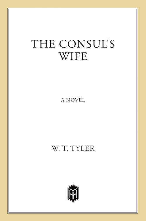Book cover of The Consul's Wife: A Novel