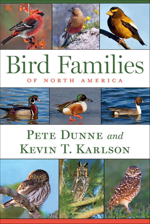 Book cover of Bird Families of North America