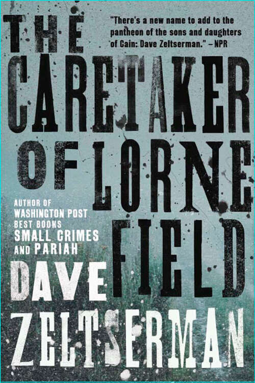 The Caretaker of Lorne Field: A Novel