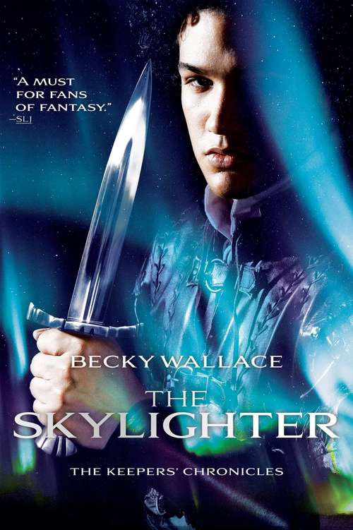 Book cover of The Skylighter