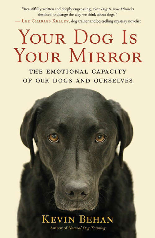 Book cover of Your Dog Is Your Mirror
