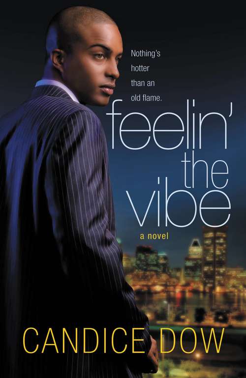 Book cover of Feelin' the Vibe