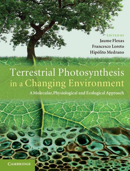 Book cover of Terrestrial Photosynthesis in a Changing Environment