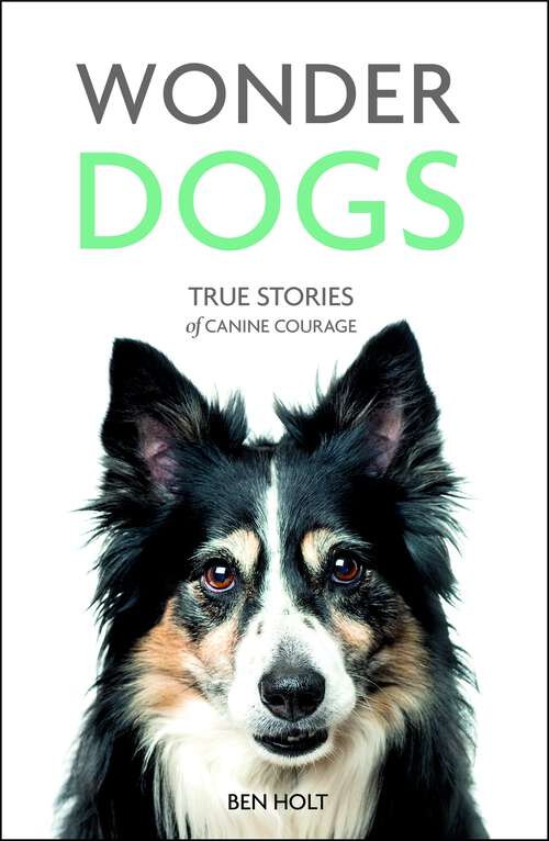 Book cover of Wonder Dogs: True Stories of Canine Courage