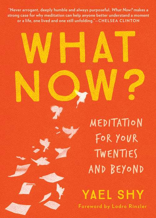 Book cover of What Now?: Meditation for Your Twenties and Beyond