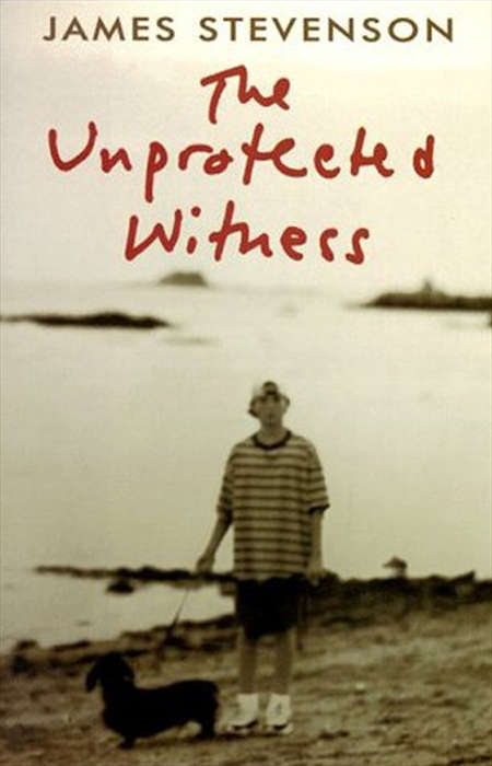 Book cover of The Unprotected Witness