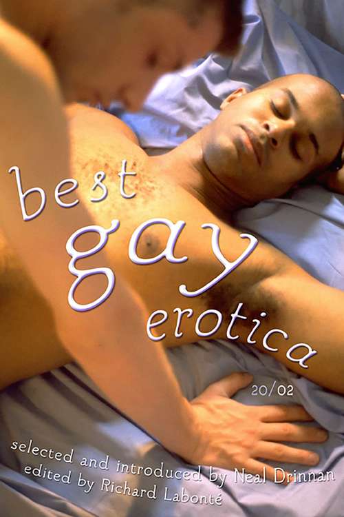 Book cover of Best Gay Erotica 2002