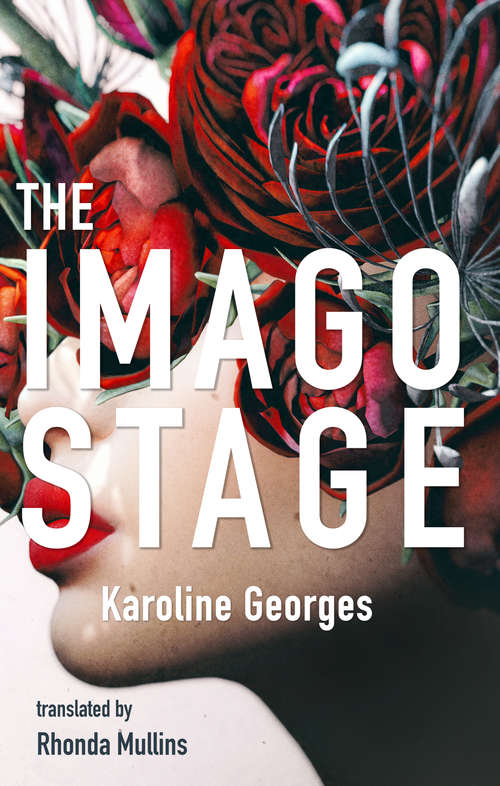 Book cover of The Imago Stage