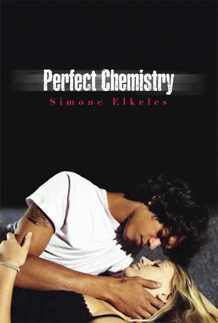 Book cover of Perfect Chemistry