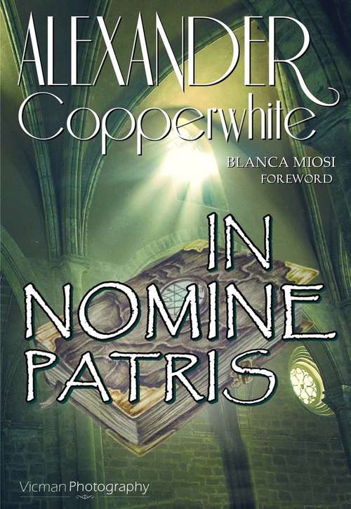 Book cover of In nomine Patris