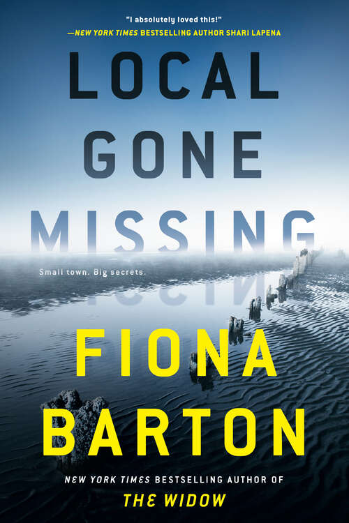 Book cover of Local Gone Missing