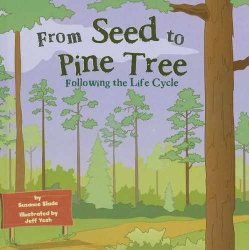 Book cover of From Seed to Pine Tree: Following the Life Cycle (Into Reading, Read Aloud Module 8 #1)