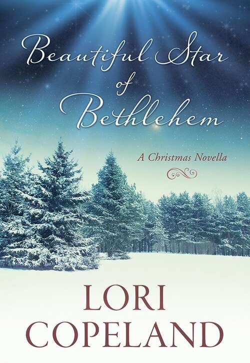 Book cover of Beautiful Star of Bethlehem: A Christmas Novella