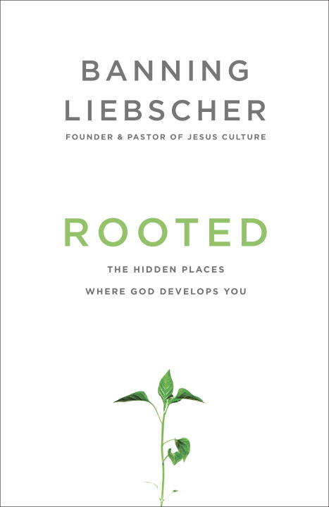 Book cover of Rooted: The Hidden Places Where God Develops You