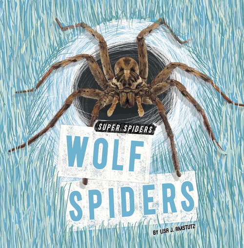 Book cover of Wolf Spiders