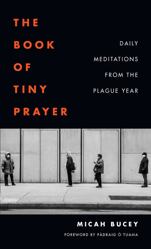 Book cover of The Book of Tiny Prayer: Daily Meditations from the Plague Year