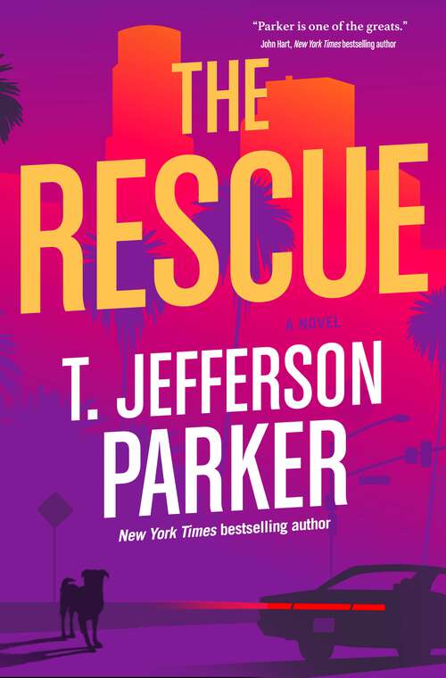 Book cover of The Rescue
