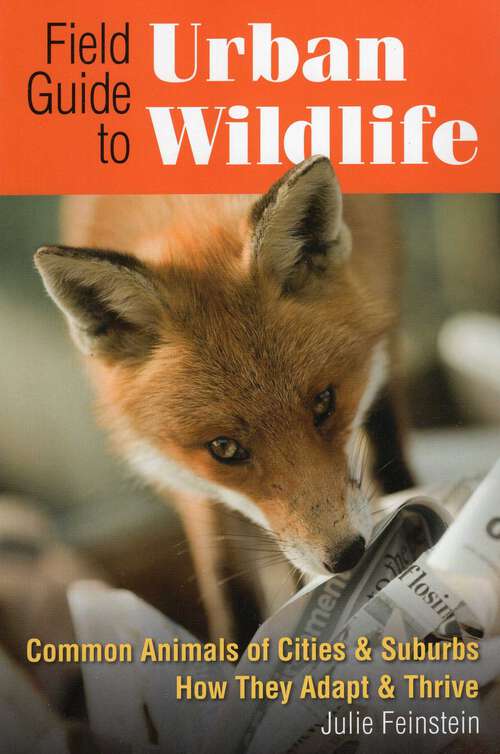 Book cover of Field Guide to Urban Wildlife