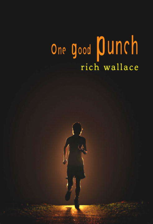 Book cover of One Good Punch
