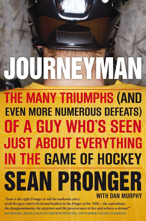 Book cover of Journeyman
