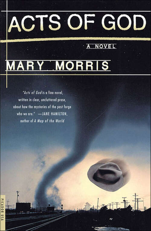 Book cover of Acts of God: A Novel