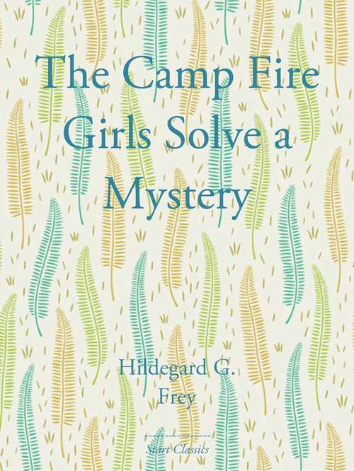 Book cover of The Camp Fire Girls Solve a Mystery