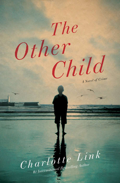Book cover of The Other Child: A Novel of Crime