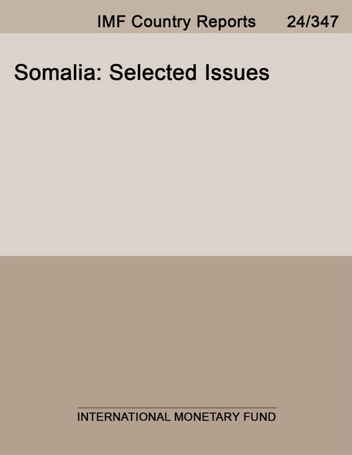 Book cover of Somalia: Selected Issues