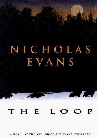 Book cover of The Loop