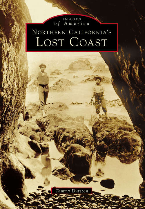 Book cover of Northern California's Lost Coast