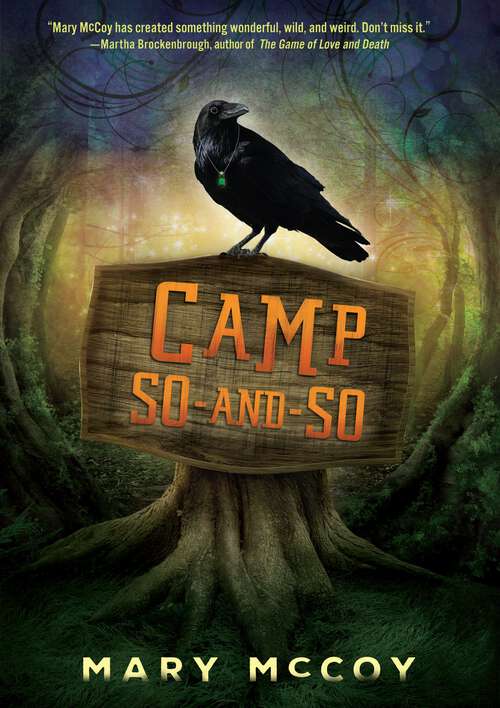 Book cover of Camp So-and-So (Fiction -- Young Adult Ser.)
