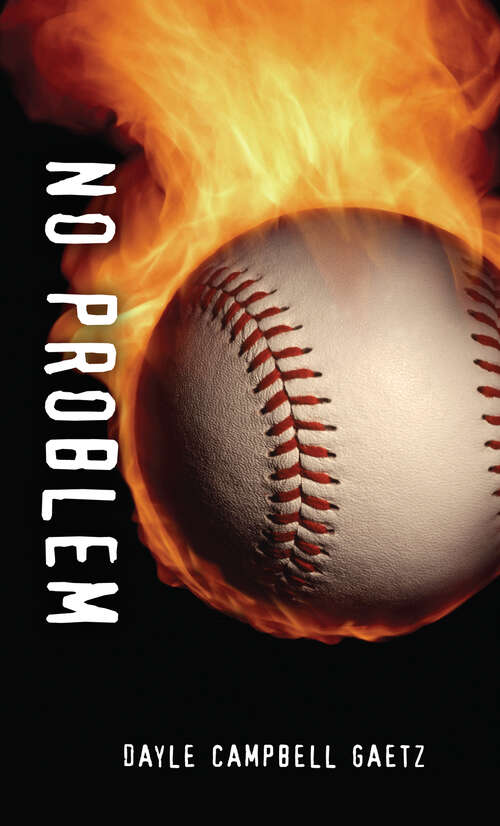 Book cover of No Problem