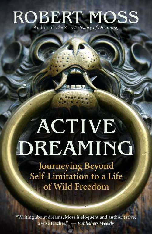 Book cover of Active Dreaming