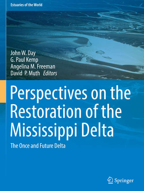 Book cover of Perspectives on the Restoration of the Mississippi Delta