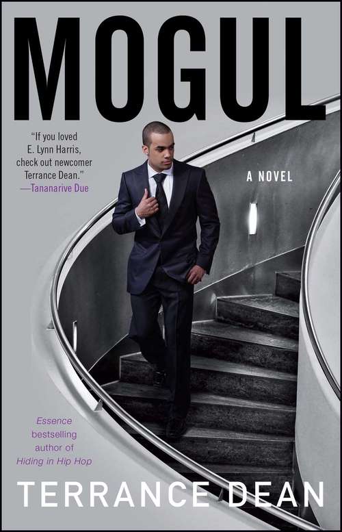 Book cover of Mogul