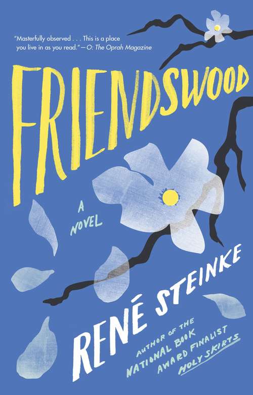 Book cover of Friendswood : A Novel