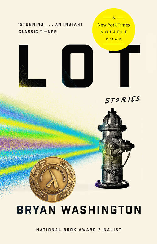 Book cover of Lot: Stories
